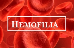 penyakit_hemofilia